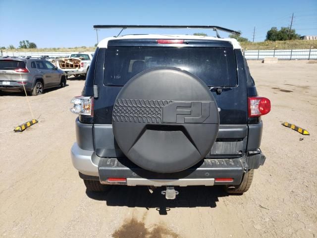 2010 Toyota FJ Cruiser