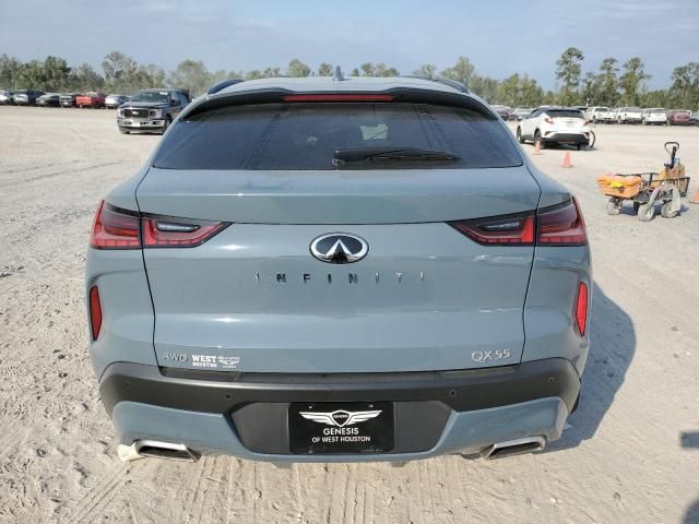 2023 Infiniti QX55 Sensory