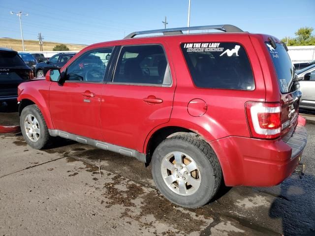 2011 Ford Escape Limited