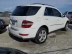 2010 Mercedes-Benz ML 350