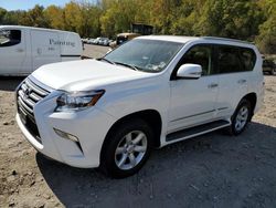 Lexus salvage cars for sale: 2017 Lexus GX 460