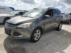 Ford Vehiculos salvage en venta: 2014 Ford Escape SE