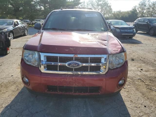 2009 Ford Escape XLT