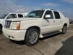 2003 Cadillac Escalade EXT