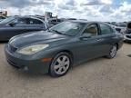 2006 Lexus ES 330