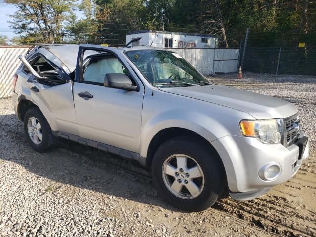 2011 Ford Escape XLT