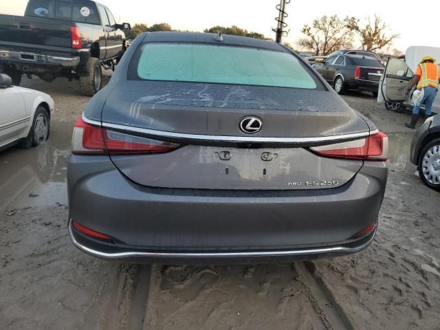 2021 Lexus ES 250 Base