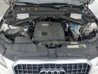 2013 Audi Q5 Premium Plus