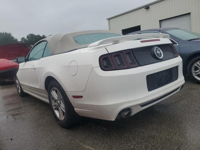 2013 Ford Mustang