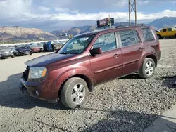 Salvage cars for sale at Farr West, UT auction: 2011 Honda Pilot EX