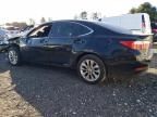 2013 Lexus ES 300H