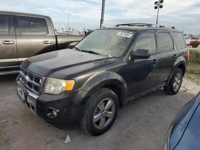 2011 Ford Escape Limited