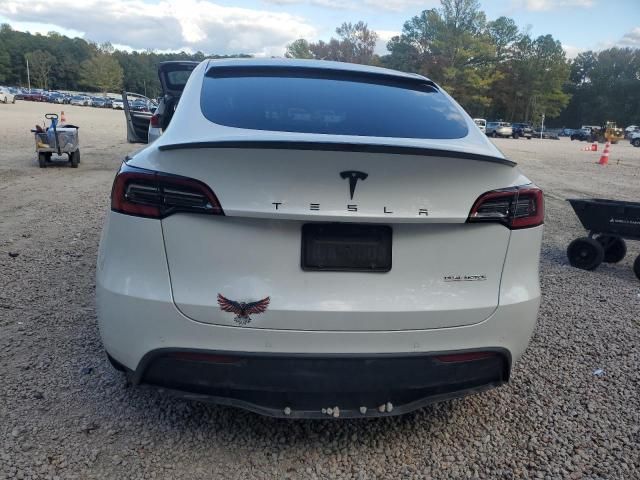 2020 Tesla Model Y