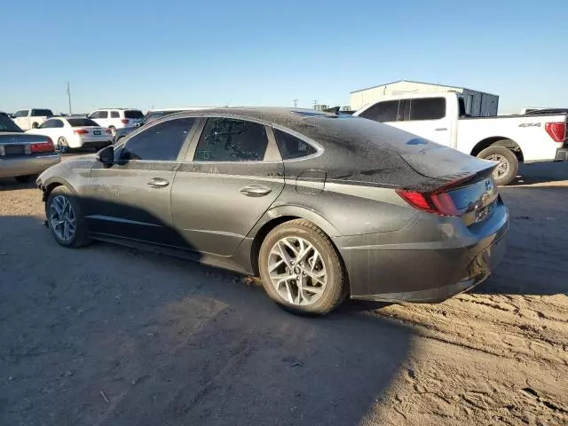 2020 Hyundai Sonata SEL