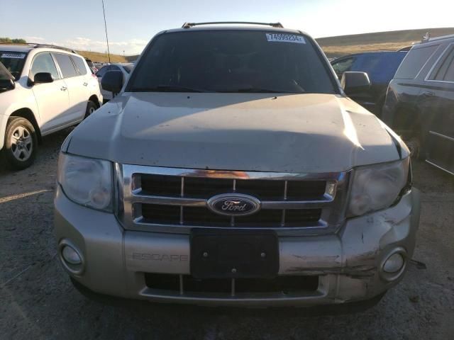 2010 Ford Escape XLT