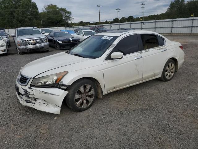 2010 Honda Accord EXL