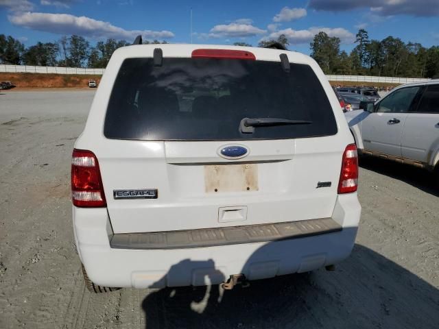 2010 Ford Escape XLT