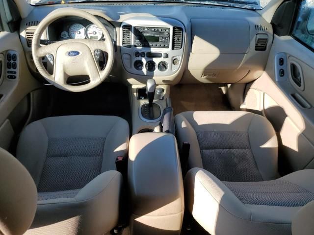 2007 Ford Escape XLT