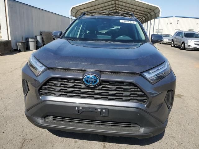 2024 Toyota Rav4 XLE