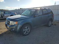 Salvage cars for sale at Anderson, CA auction: 2011 Ford Escape Limited