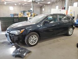 Salvage cars for sale at Ham Lake, MN auction: 2016 Toyota Camry LE