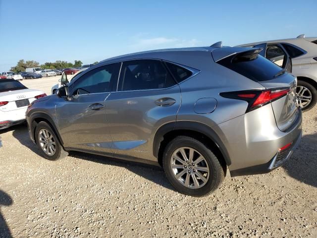 2019 Lexus NX 300H