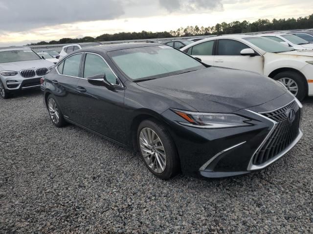 2022 Lexus ES 300H Base