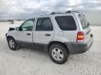 2004 Ford Escape XLT