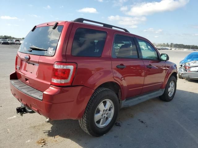 2012 Ford Escape XLT