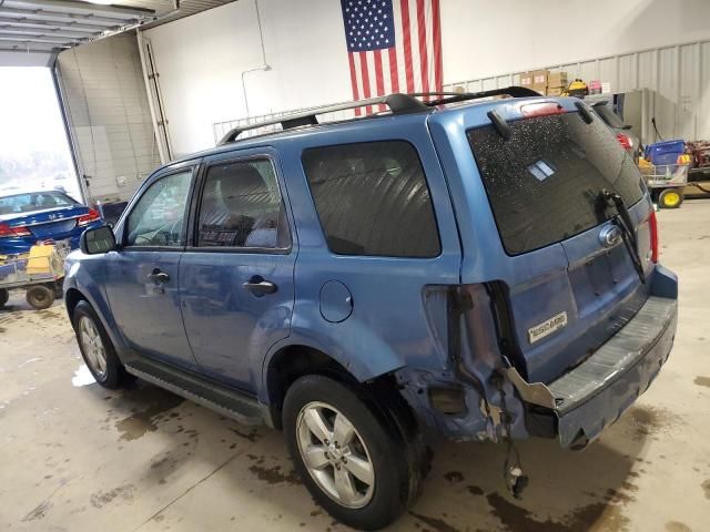 2010 Ford Escape XLT