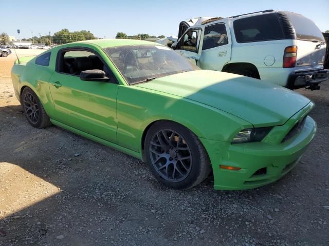 2013 Ford Mustang