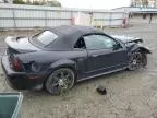 2000 Ford Mustang