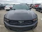 2010 Ford Mustang