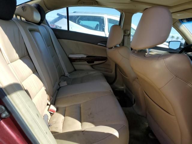 2009 Honda Accord EXL