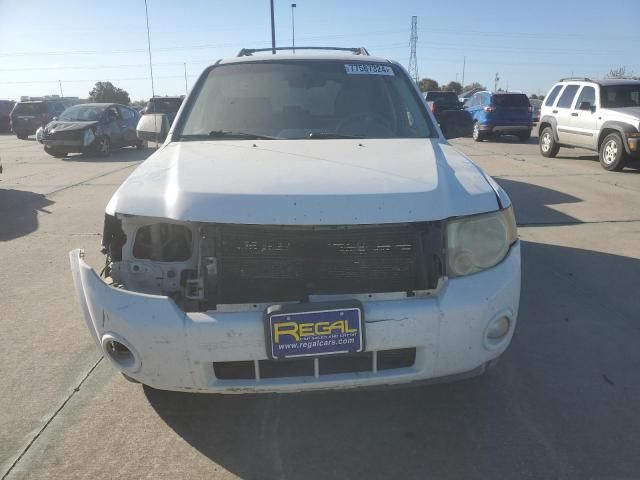 2008 Ford Escape XLT