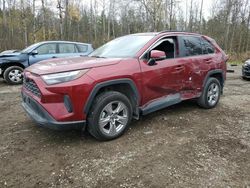 2023 Toyota Rav4 XLE en venta en Cookstown, ON