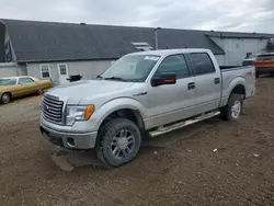 2011 Ford F150 Supercrew en venta en Davison, MI