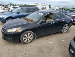 Salvage cars for sale at Riverview, FL auction: 2010 Honda Accord EXL