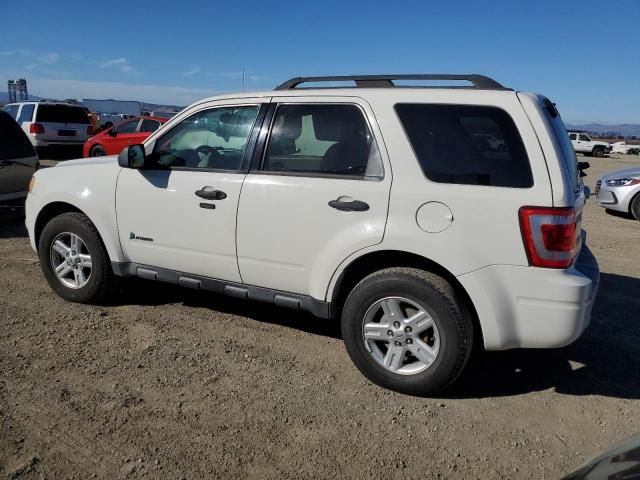 2011 Ford Escape Hybrid