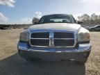 2005 Dodge Dakota Quad SLT