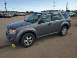 Salvage cars for sale at Colorado Springs, CO auction: 2012 Ford Escape XLT