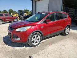 Salvage cars for sale at Columbia, MO auction: 2016 Ford Escape SE