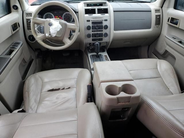 2008 Ford Escape XLT