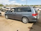 2010 Honda Odyssey EXL