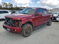 Ford salvage cars for sale: 2013 Ford F150 Supercrew