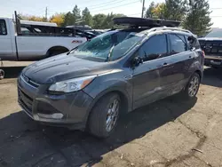 Salvage cars for sale at Denver, CO auction: 2015 Ford Escape Titanium