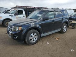 Salvage cars for sale at Brighton, CO auction: 2010 Ford Escape Limited