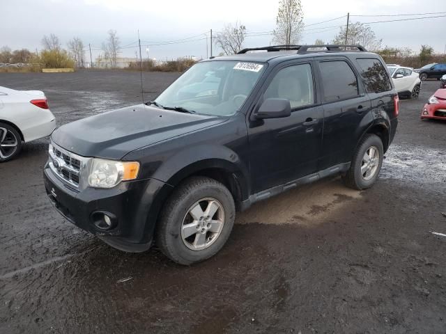 2010 Ford Escape XLT