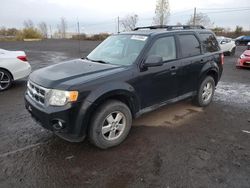 Carros salvage a la venta en subasta: 2010 Ford Escape XLT