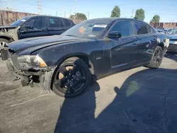 Salvage cars for sale at Wilmington, CA auction: 2014 Dodge Charger R/T